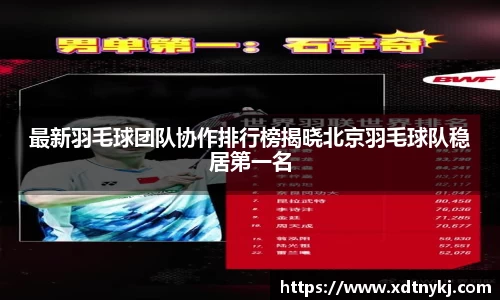最新羽毛球团队协作排行榜揭晓北京羽毛球队稳居第一名