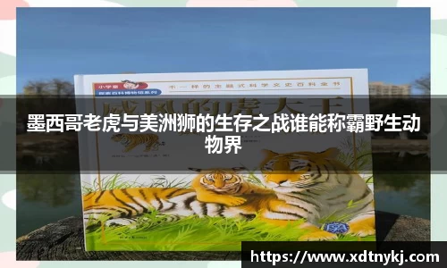 美高梅·(MGM)官方网站